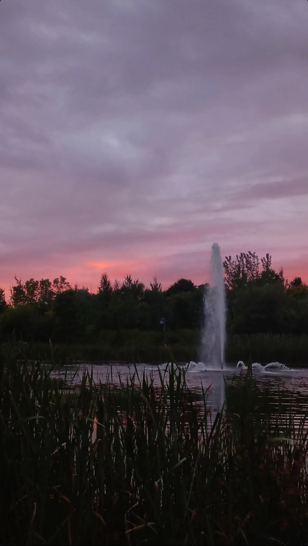 Studio abstract - 2024