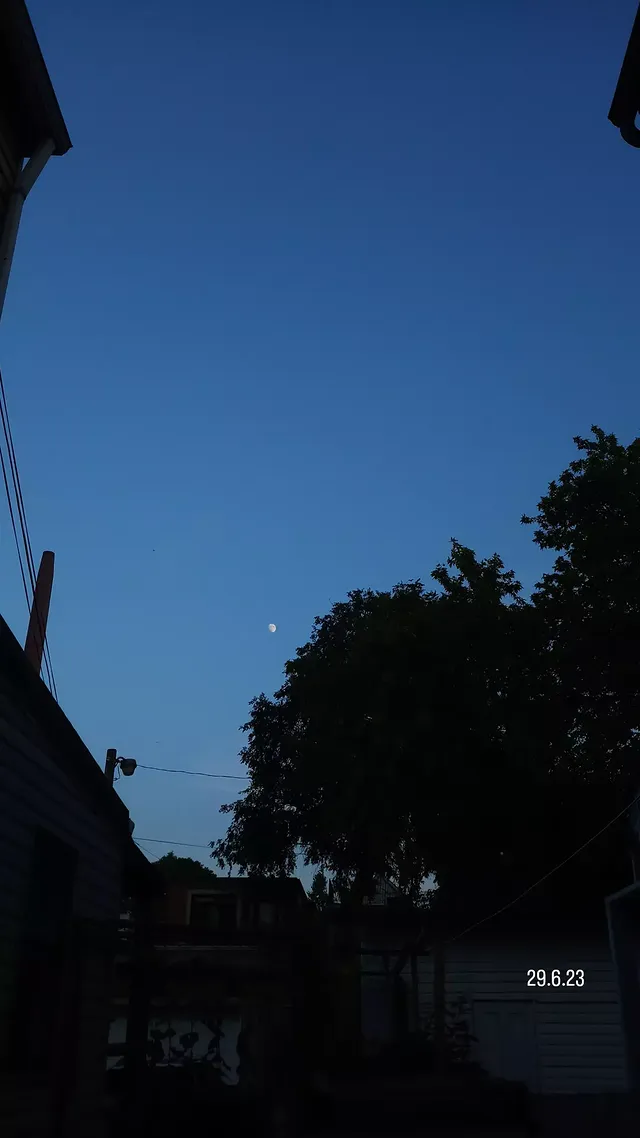 Studio abstract - 2024