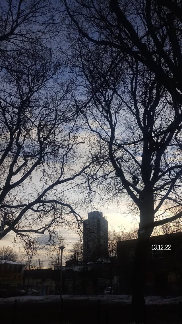 Studio abstract - 2024