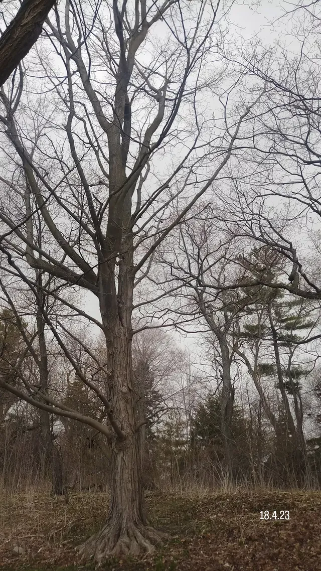 Studio abstract - 2024