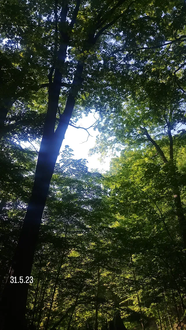 Studio abstract - 2024